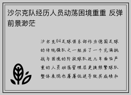 沙尔克队经历人员动荡困境重重 反弹前景渺茫 沙尔克队经历人员动荡困境重重 反弹前景渺茫